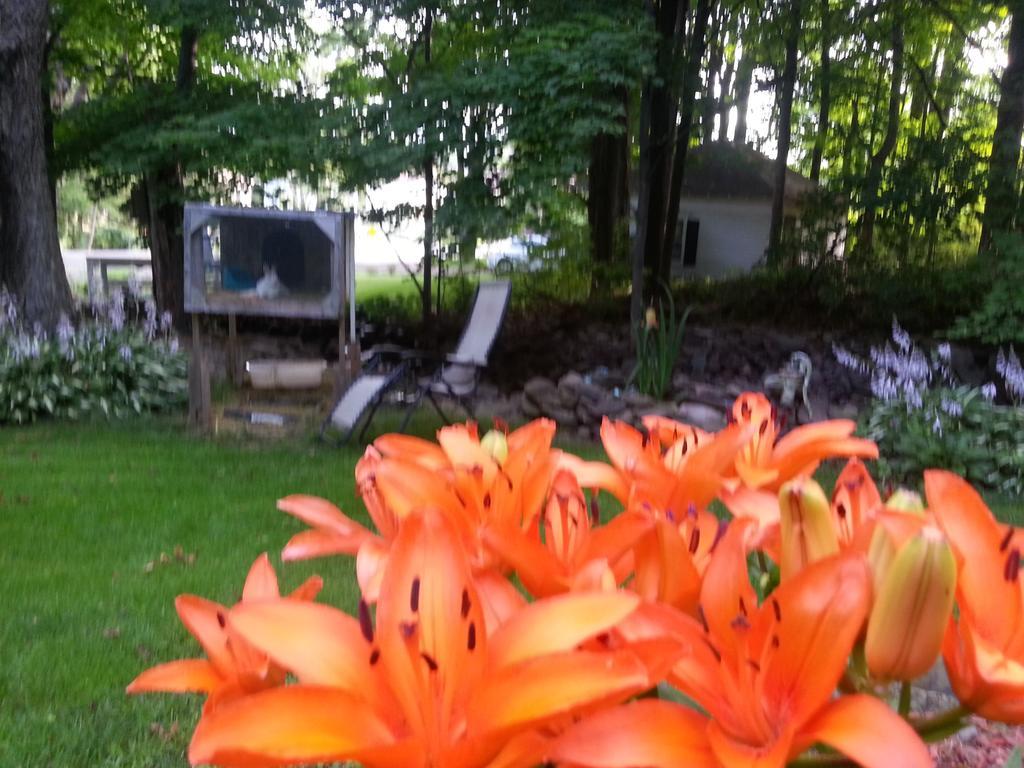 אונאונטה Kountry Living Bed And Breakfast מראה חיצוני תמונה